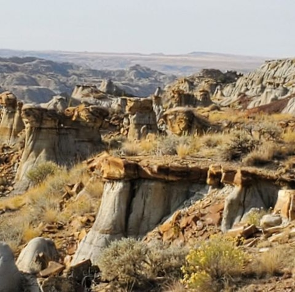 Meet your Posher, Penni